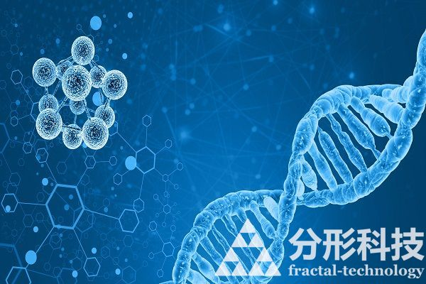 醫(yī)院網(wǎng)站建設(shè)：守護健康的專業(yè)醫(yī)療服務(wù)平臺